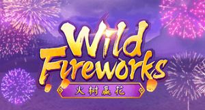 Wild Fireworks